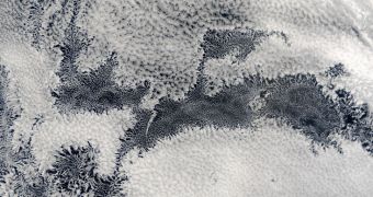 Satellite image above Peru shows self-organizing honeycomb cloud pattern