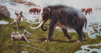 Mammoth hunt