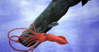 Sperm whale battling giant squid