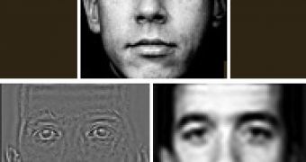 Real (top), blurry (lower right), and high-frequency faces