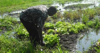 Patrice Omullo, an eco-conscious farmer from Nyamsaria, who has been using eco-san toilets for more than a couple of years to grow sustainable crops