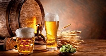 Researchers find fruit flies influence the scent and aroma of beer