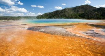 A new model shows how primitive life could have evolved from simple amino acids in a "primordial soup"