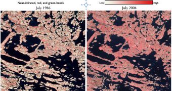 Comparison of area in Northern Quebec showing increased vegetation between 1986 and 2004 (more red color indicates more vegetation)