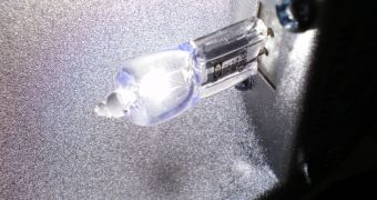 Image of a halogen lamp during operation