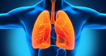 Study finds ibuprofen reduces inflammation in mice's lungs