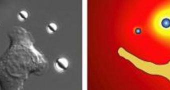 Biophysicists at Yale created a method to stimulate single living cells with light and microparticles