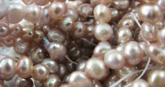 Farmed pearls