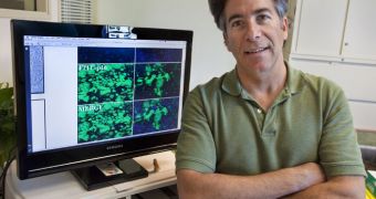 Berkeley Lab cell biologist Paul Yaswen demonstrates that radiation exposure can alter the environment surrounding human breast cells so that future cells are more likely to become cancerous