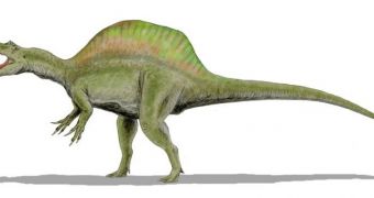Spinosaurus aegyptiacus, a spinosaurid from the Middle Cretaceous of Egypt