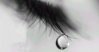 A new insight on tears' behavior