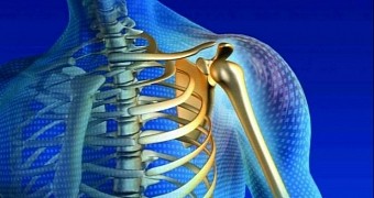 Osteoporosis is not properly diagnosed and treated in men, report finds