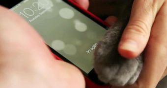 Registering a cat's paw-prints with Touch ID (yes, it works)