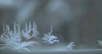 These ice crystals are called dendrites. There is a primary crystal, growing from a nucleation site with secondary arms growing roughly at right angles to the primary site.