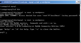 How to Secure Your Password for MySQL