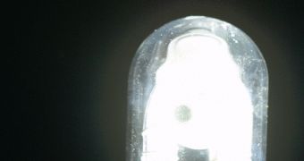 Image of a typical flash tube right before the large high-voltage current discharge