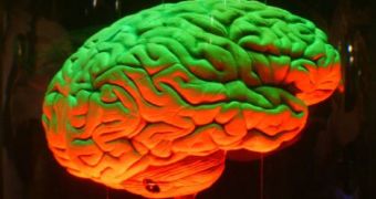 The human brain is equipped to record memory cues despite their duration
