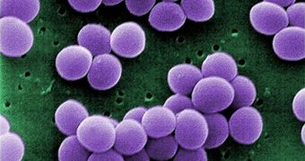 S. aureus hijacks the immune system for its own ends, which makes it very difficult to kill