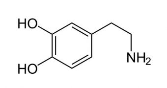 This is a basic diagram of the neurotransmitter dopamine