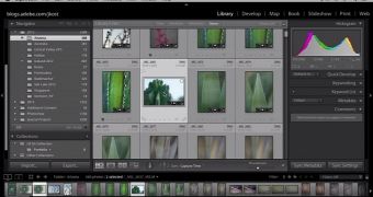 How to Create Custom Image Collections Using Lightroom 5