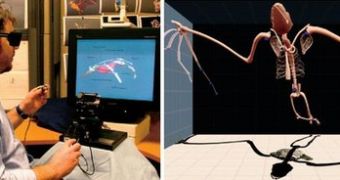 (Left) An artist uses Drawing on Air: a stereoscopic desktop display, stylus and tracking device. (Right) An image of a 3D bat skeleton made with the system