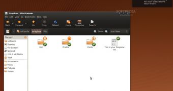 Dropbox on Ubuntu 9.04