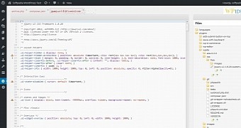 WPide creates a special section in the admin panel where developers can edit code