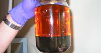 Jar filled with biodiesel