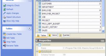 Example of a Database Editor