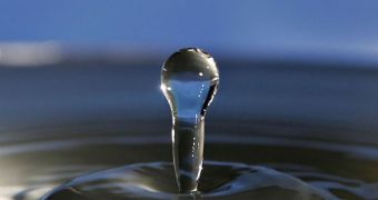UT researchers will look for methods of using sunlight to break up water into hydrogen, in the next three years