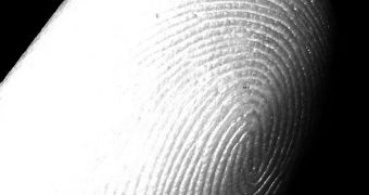 The reason why we have fingerprints could have as much to do with physics as it has with biology