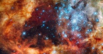 The dark structure next to the blue stellar cluster resembles a Christmas tree adorned with blue lights, astronomers say