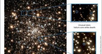 Twenty four unusual helium-based white dwarfs have been spotted in an ancient swarm of stars in the Milky Way