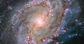 Hubble's latest image of the Southern Pinwheel Galaxy was showcased at AAS 2014, on January 9, 2014