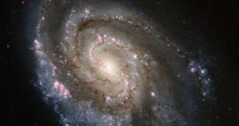 Spiral galaxy NGC 6984 reveals new supernova event