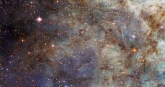 This Hubble image is centered on the outskirts of the Tarantula Nebula