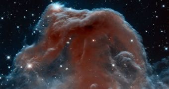 Hubble telescope takes stunning picture of the Horsehead Nebula (click to see full image)