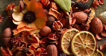 Police officer in the UK mistakenly seizes 10 boxes of potpourri