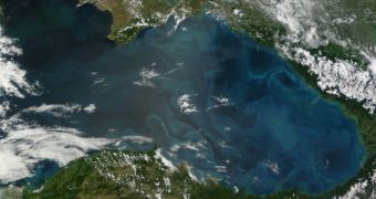 Impressive phytoplankton blooms cover the Black Sea