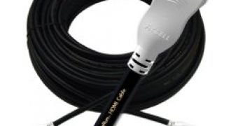 Huge Price Difference for PS3 HDMI Cables