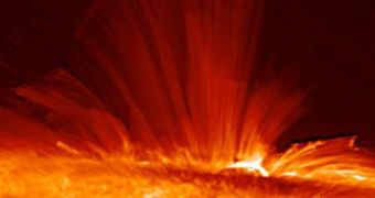 Magnetic field lines on Sun's chromosphere