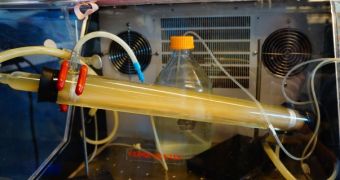 Human Colon Replica Might Help Improve Water Quality