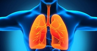 Lab-made lungs could pave the way for more effective cystic fibrosis treatments