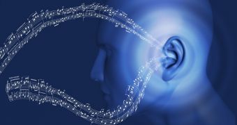 People can learn to use echolocation, scientists argue
