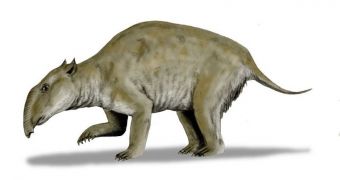 Palorchestes azael, a marsupial tapir from the Pleistocene of Australia, pencil drawing, digital coloring