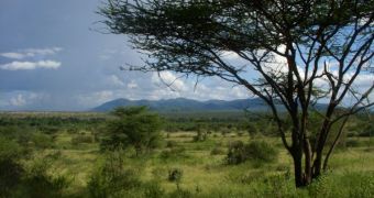 An alternate view of the extensive savanna in Kenya's Samburu National Reserve