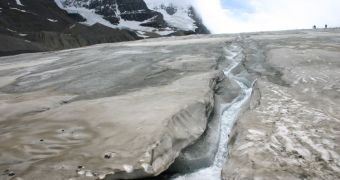A river of melt-water running down the slope of a toe of the Athabasca Glacier.