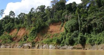 A desolating view of the upland tropical rain forests of Madre de Dios, Peru