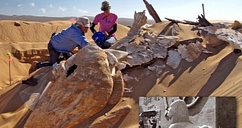 Photo shows the remains of the sphinx unearthed in California not too long ago