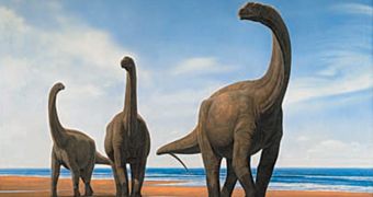 Hundreds of dinosaur egg fossils are discovered in Spain, most of them belong to sauropods